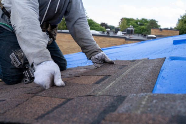 Quick and Trustworthy Emergency Roof Repair Services in Industry, PA