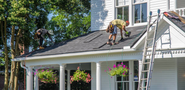 Best Roof Gutter Cleaning  in Industry, PA