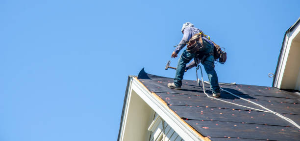 Best Storm Damage Roof Repair  in Industry, PA